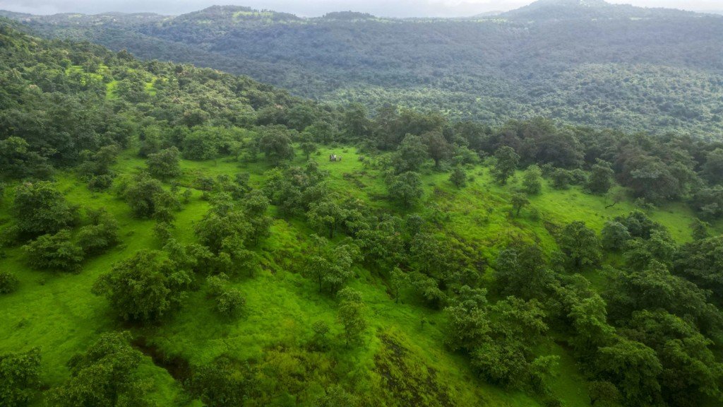 Aerial view of agricultural holdings at Konkan Kesharnath