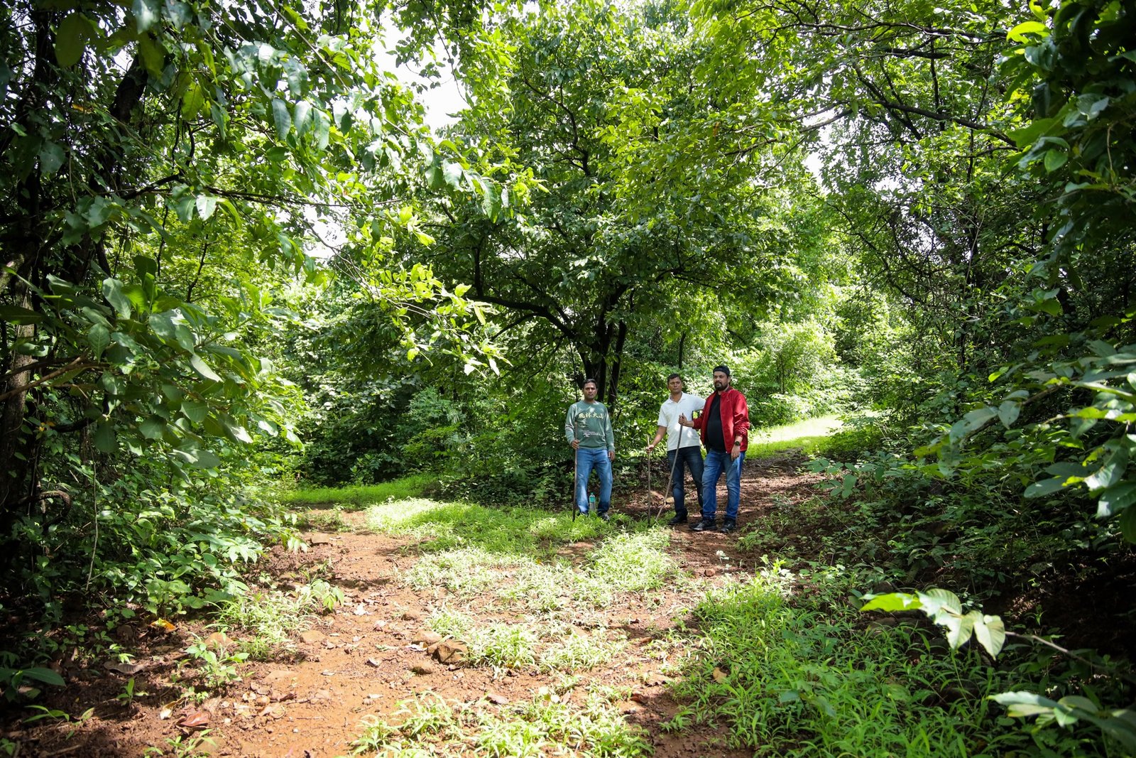 Plantation team on the ground
