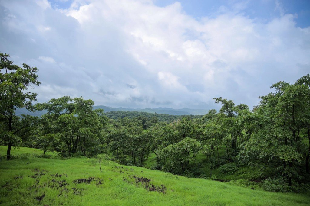 Open Konkan landscape around a clearly identified holding